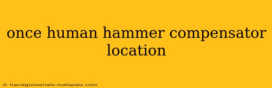 once human hammer compensator location