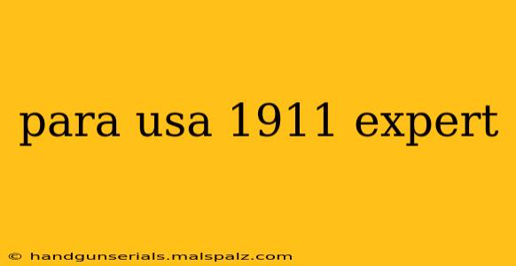 para usa 1911 expert