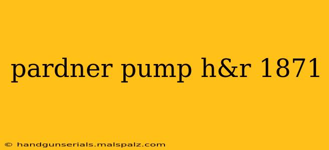 pardner pump h&r 1871