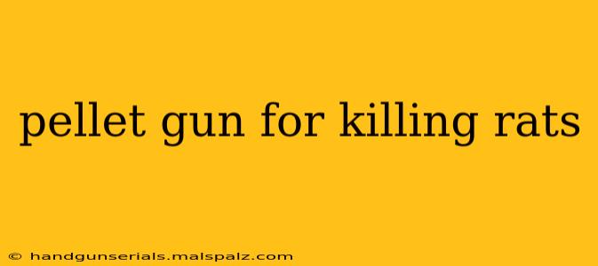 pellet gun for killing rats