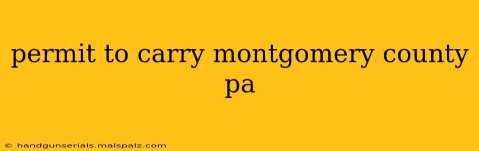 permit to carry montgomery county pa