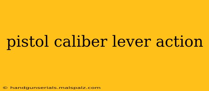 pistol caliber lever action