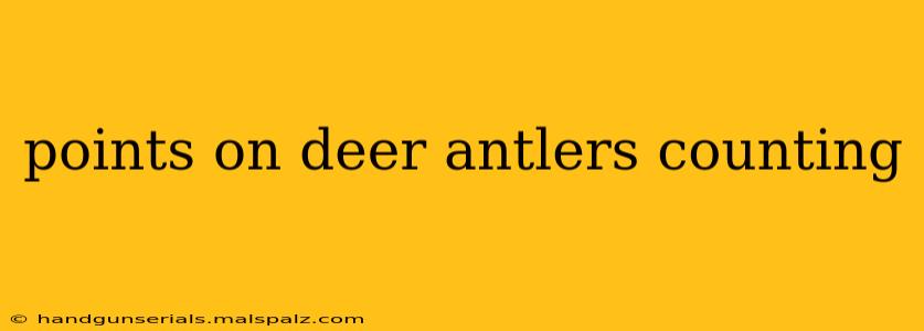 points on deer antlers counting