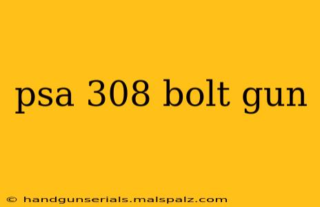 psa 308 bolt gun