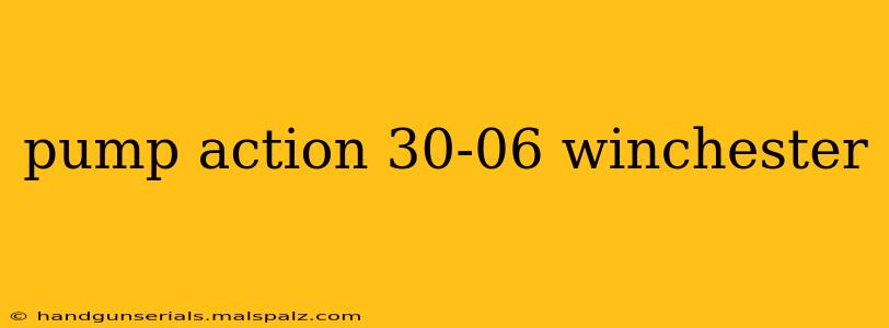 pump action 30-06 winchester