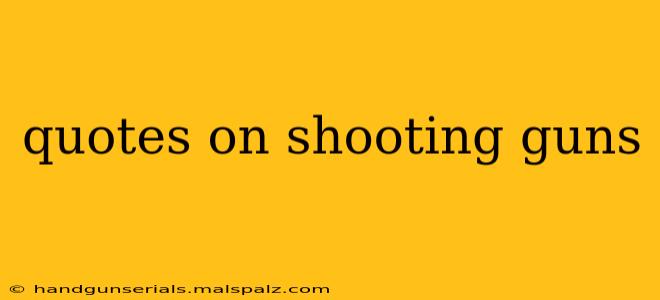 quotes on shooting guns