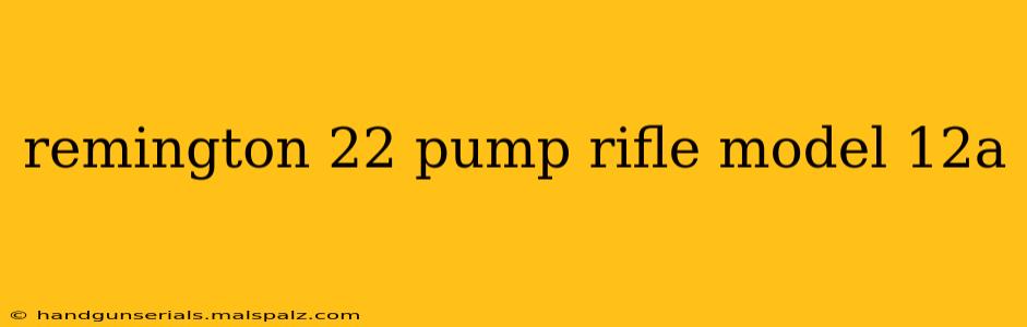 remington 22 pump rifle model 12a