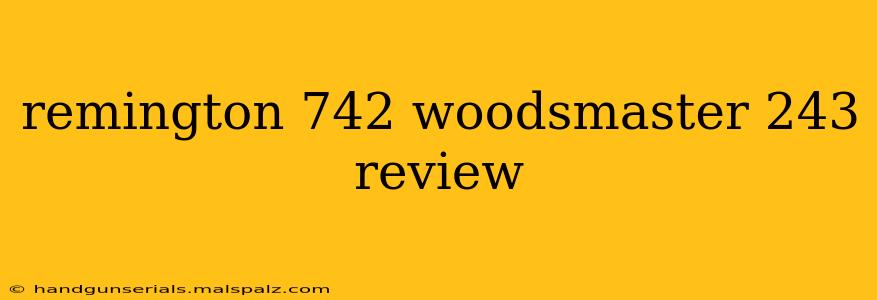 remington 742 woodsmaster 243 review