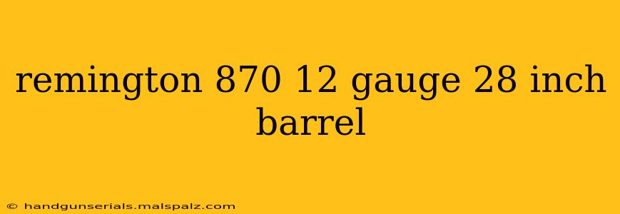 remington 870 12 gauge 28 inch barrel