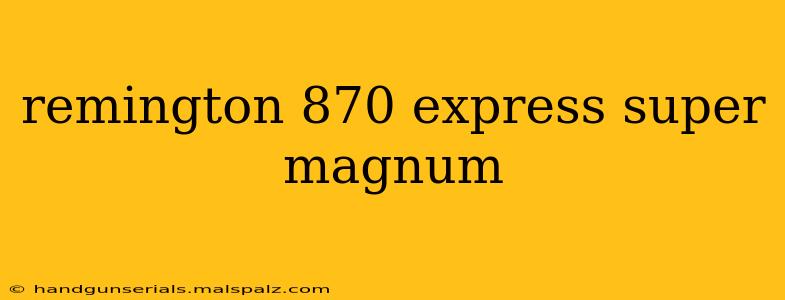 remington 870 express super magnum