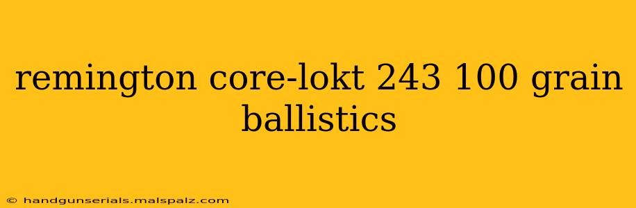 remington core-lokt 243 100 grain ballistics