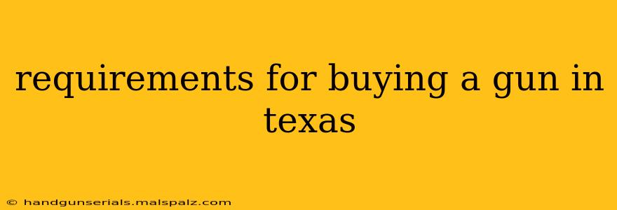 requirements for buying a gun in texas