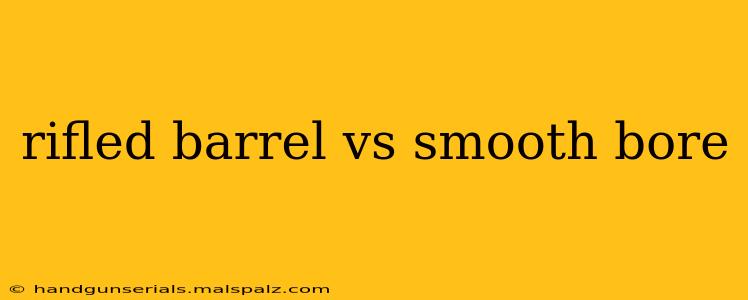 rifled barrel vs smooth bore