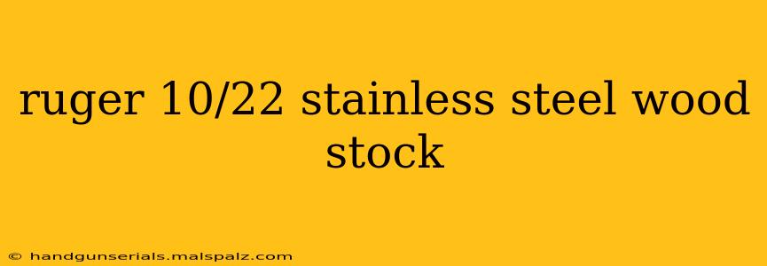 ruger 10/22 stainless steel wood stock