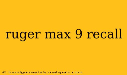 ruger max 9 recall