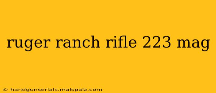 ruger ranch rifle 223 mag