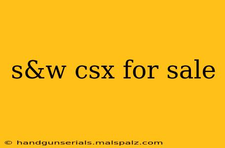 s&w csx for sale