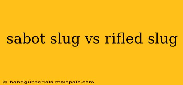 sabot slug vs rifled slug