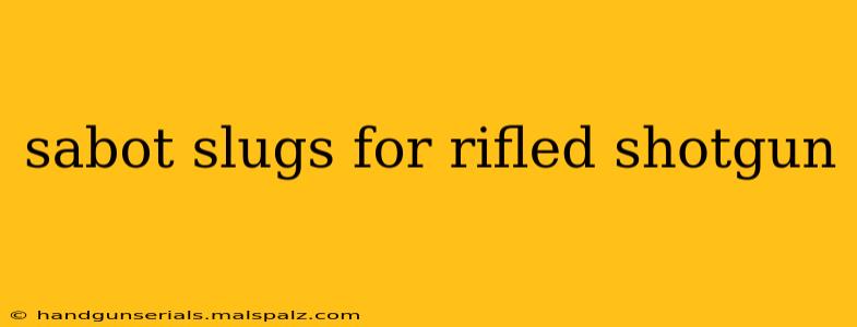 sabot slugs for rifled shotgun