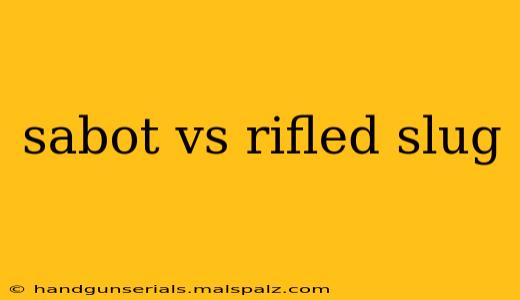 sabot vs rifled slug