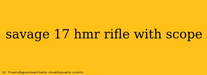 savage 17 hmr rifle with scope