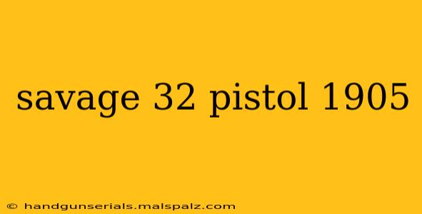 savage 32 pistol 1905