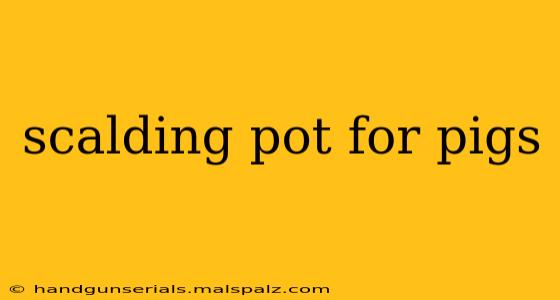 scalding pot for pigs