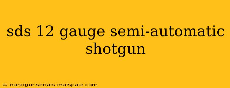 sds 12 gauge semi-automatic shotgun