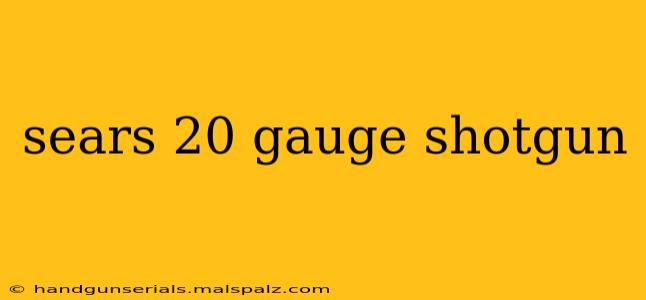 sears 20 gauge shotgun