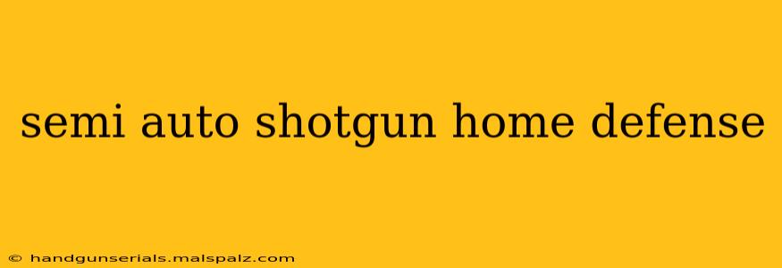 semi auto shotgun home defense