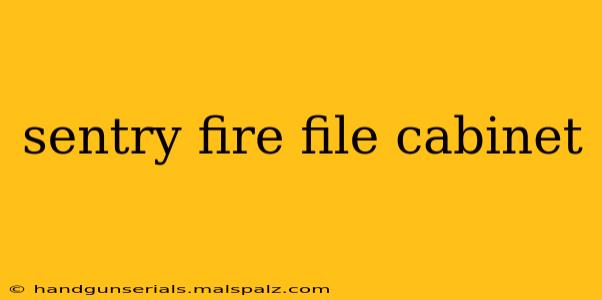 sentry fire file cabinet