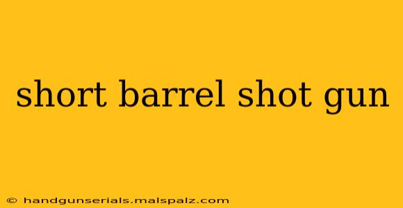 short barrel shot gun