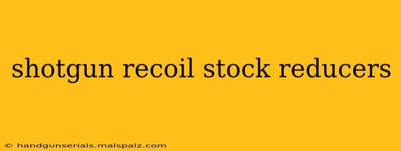 shotgun recoil stock reducers