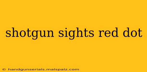 shotgun sights red dot