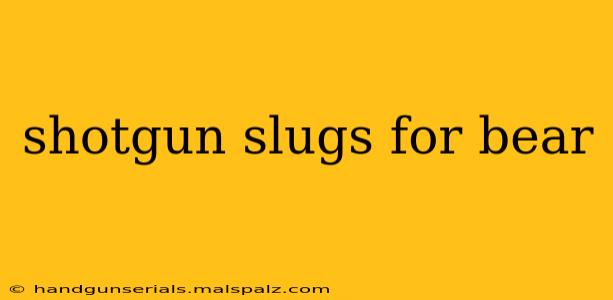 shotgun slugs for bear