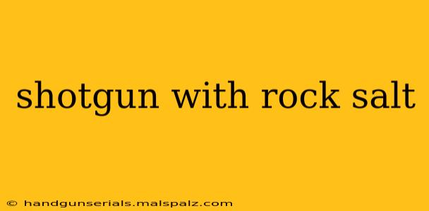 shotgun with rock salt