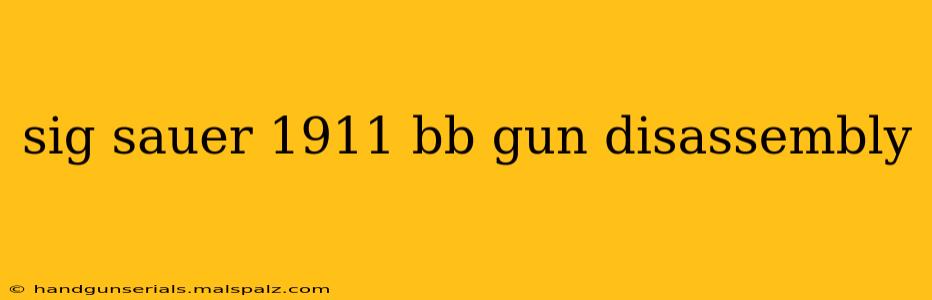 sig sauer 1911 bb gun disassembly