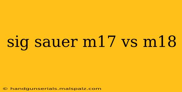 sig sauer m17 vs m18