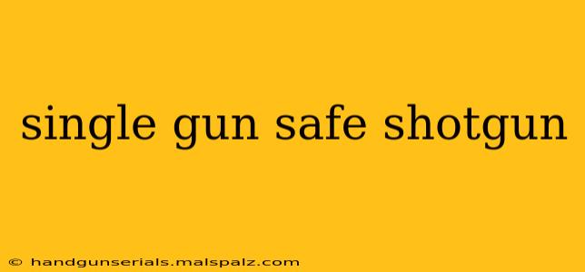 single gun safe shotgun