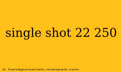 single shot 22 250