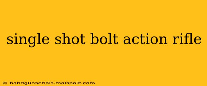 single shot bolt action rifle