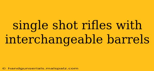 single shot rifles with interchangeable barrels