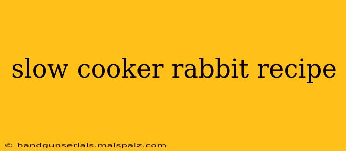 slow cooker rabbit recipe