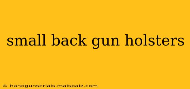 small back gun holsters