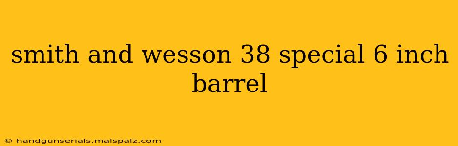 smith and wesson 38 special 6 inch barrel