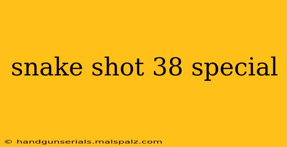 snake shot 38 special