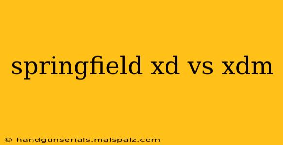 springfield xd vs xdm