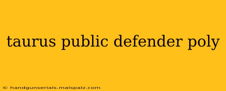 taurus public defender poly