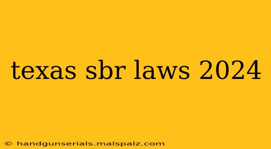 texas sbr laws 2024