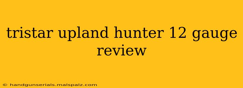 tristar upland hunter 12 gauge review